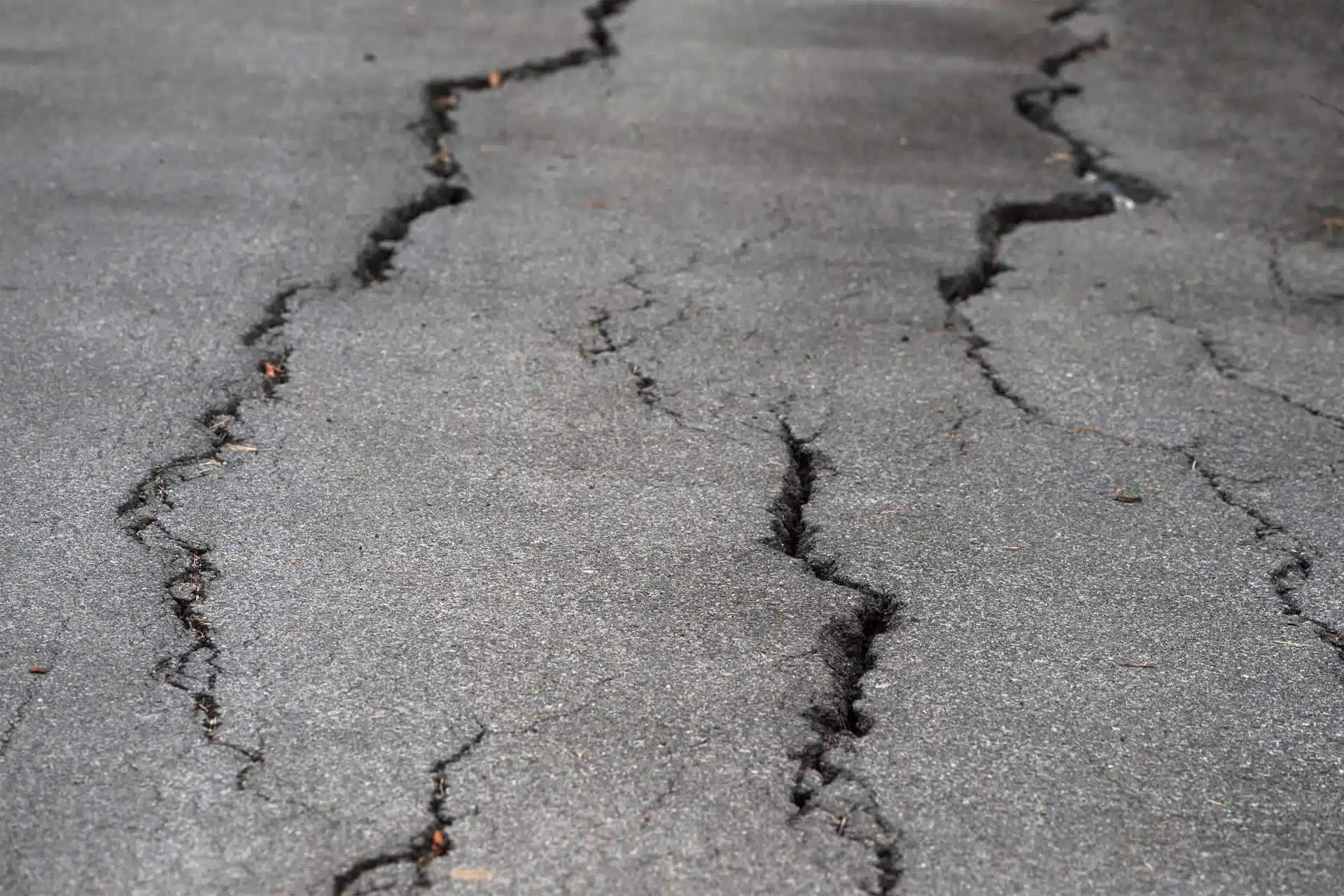 Cracks in a road. Is your business already exposed to nature-related risk?