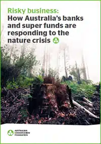 Cover of the Risky Business report
