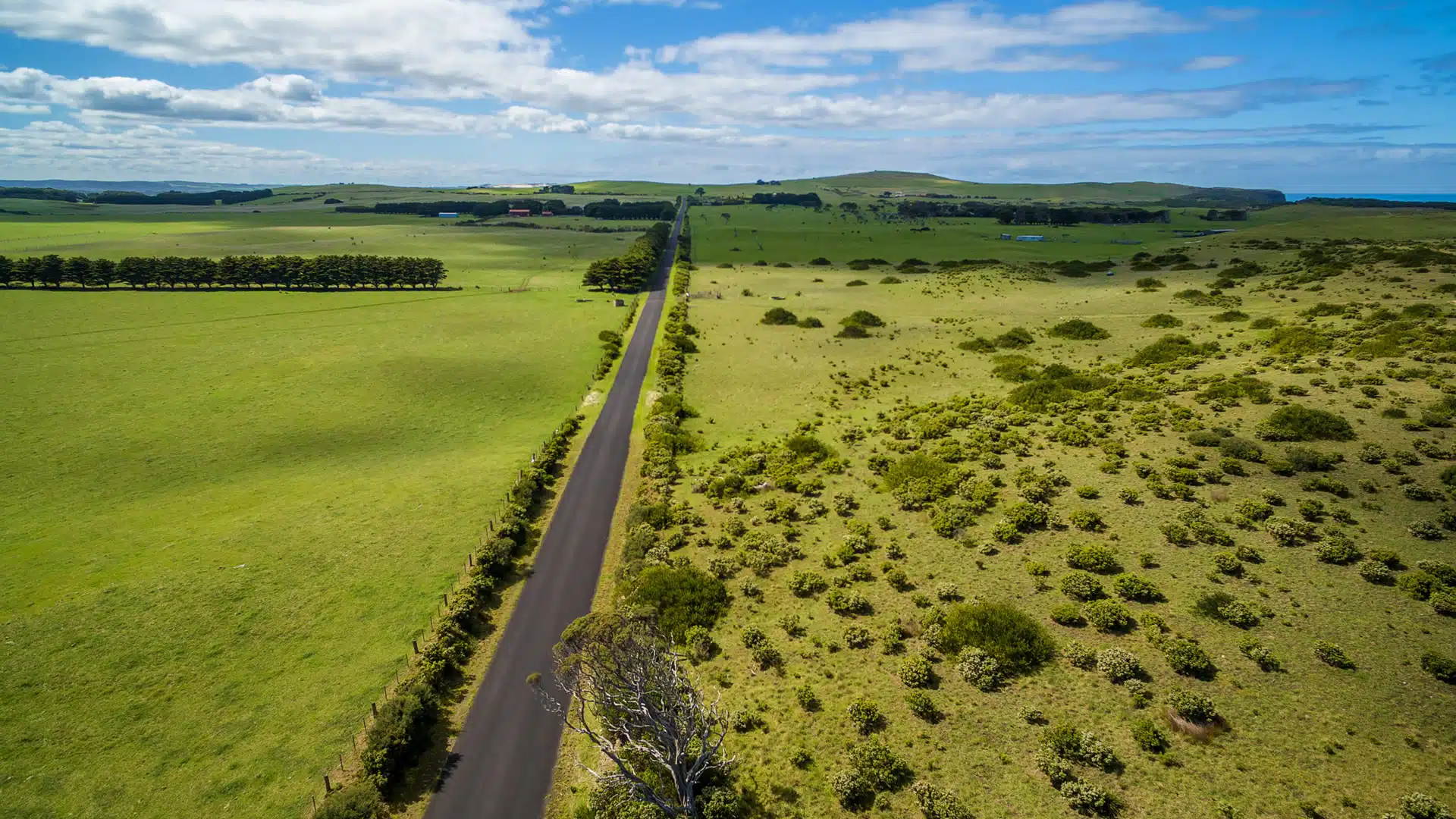 A picture of roads leading through a field to represent the natural capital roadmap. Introducing the Natural Capital Roadmap