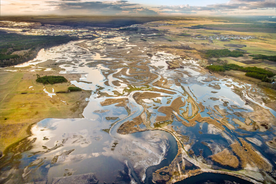 Salt march aerial view Biebrza National Park