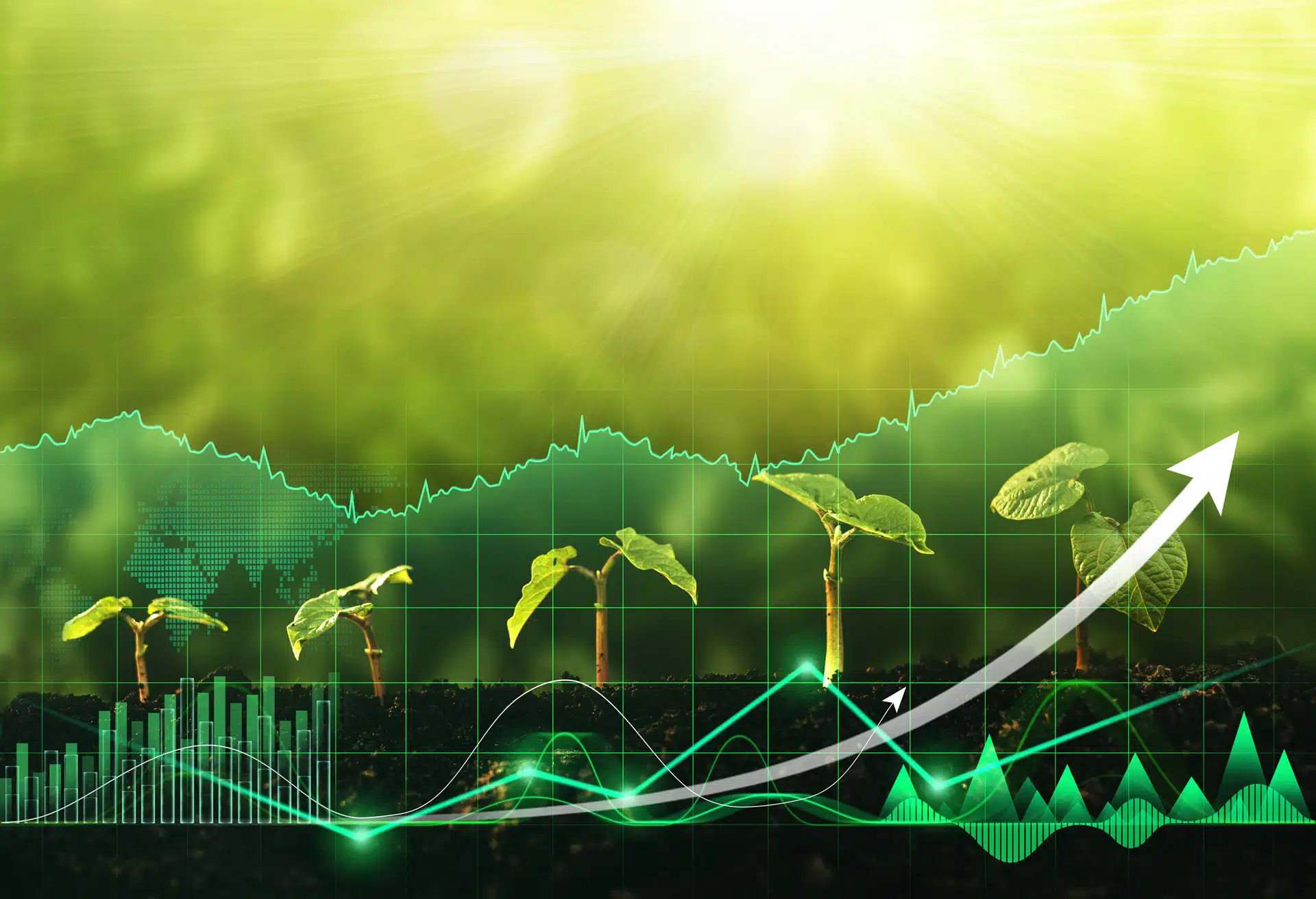 A seedling growing across the image with graphs and arrows indicating growth. Why the System of National Accounts matters