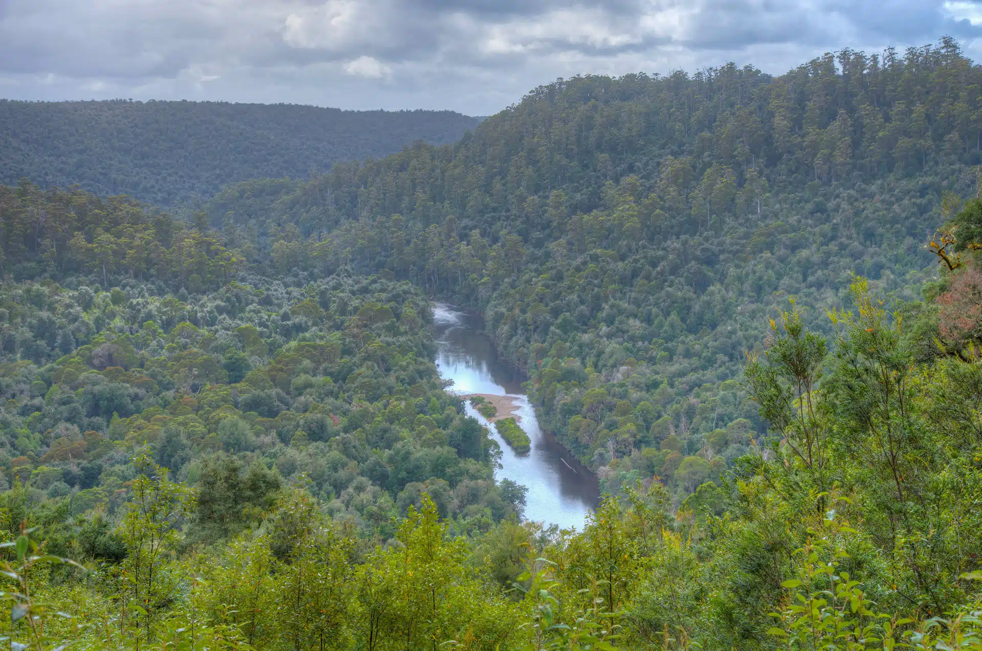 Tarkine River in Tasmania. Taking biodiversity from science into action