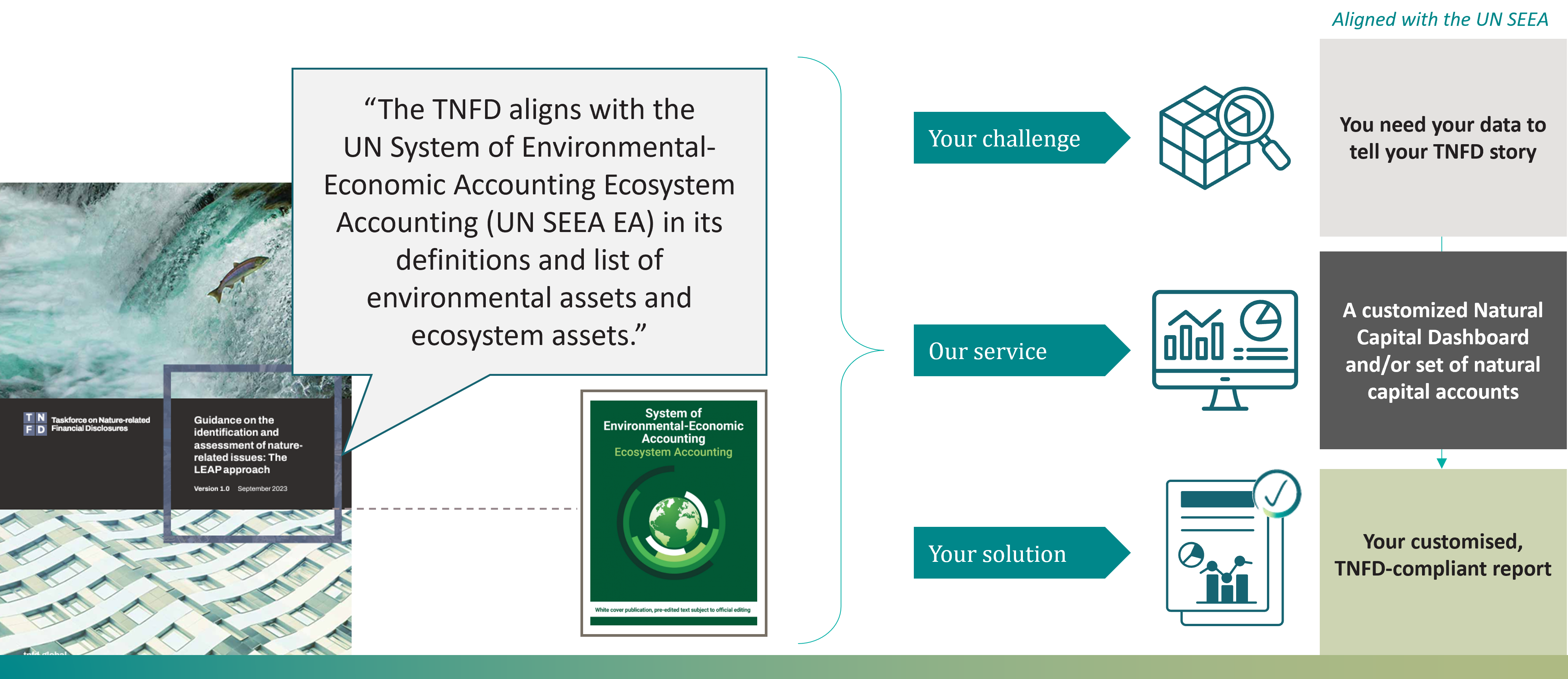 A diagram explaining how TNFD aligns to the SEEA for the nature risk page