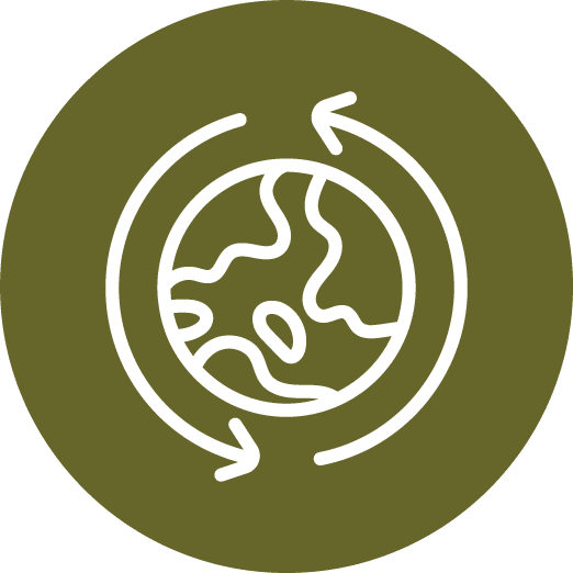 Globe with circular arrows icon, representing nature assets