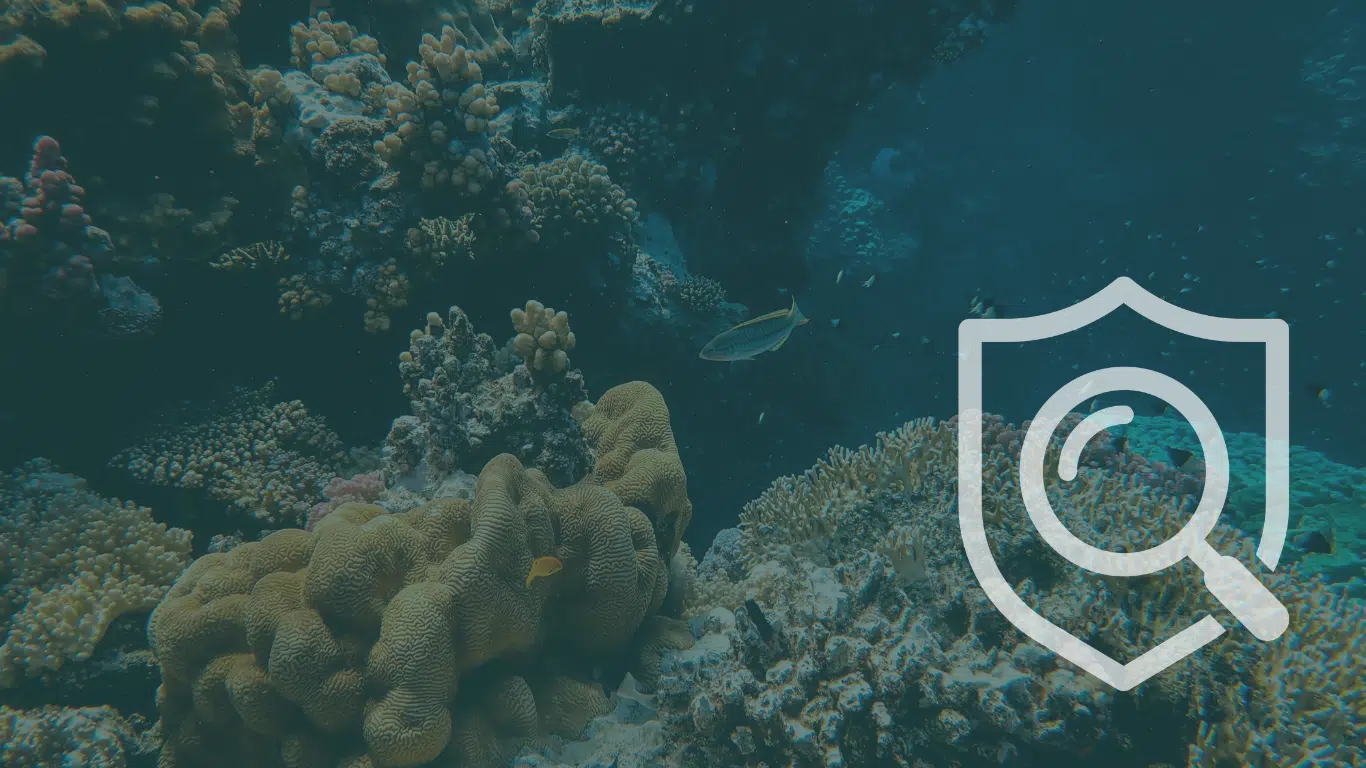 Coral reef seabed with a shield and magnifying glass icon symbolising transparency and trusted evidence