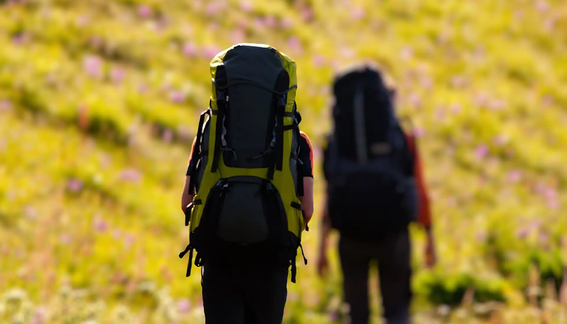 Two people hiking for turning to nature in uncertain times
