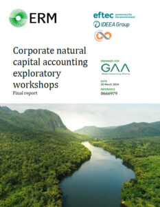 Cover of the report titled Corporate natural capital accounting exploratory workshops